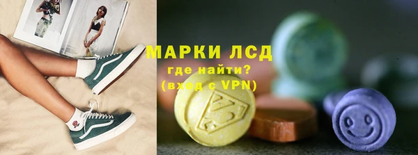 индика Заволжск