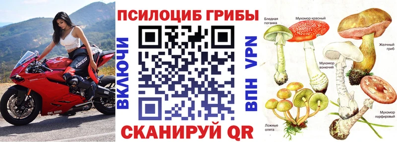 что такое наркотик  Камызяк  Псилоцибиновые грибы Psilocybine cubensis 